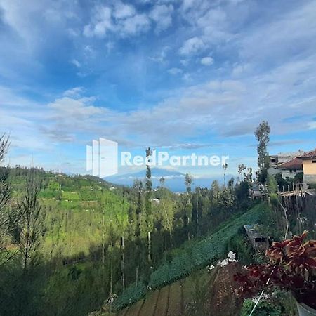 Bromo Indah Lestari Homestay Mitra Reddoorz Пасуруан Екстер'єр фото
